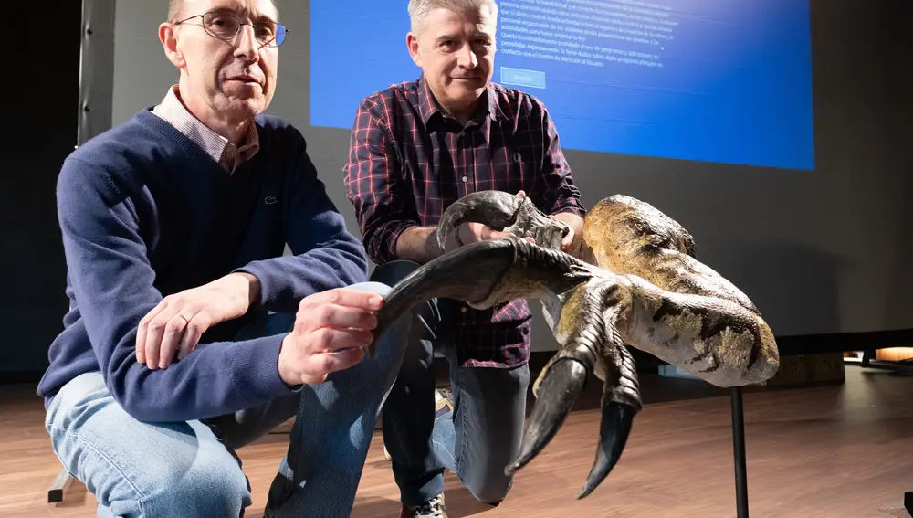 Los restos de un gran dinosaurio hallados en Rioja avalan una nueva especie
