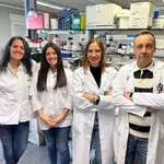 Parte del equipo de investigadores del Grupo Diamet del IISPV que ha participado en el estudio: Lídia Cedó Giné, Teresa Villanueva Carmona, Sonia Fernández-Veledo y Joan Vendrell