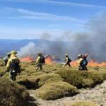 Medios terrestres trabajan en sofocar un incendio forestal declarado en Candelario (Salamanca)