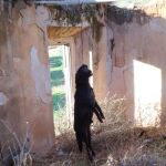 Nueve meses de cárcel por ahorcar a su perro en un cortijo en Jaén