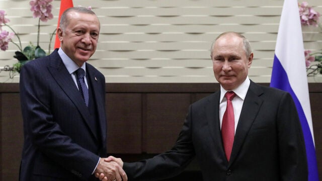 Rusia/Turquía.- Erdogan informa de una posible visita de Putin a Turquía en abril