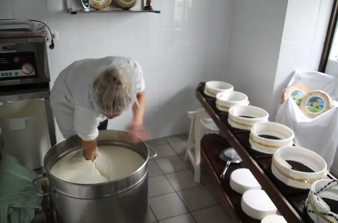 Cara y cruz del queso de Cádiz: suben las ventas pero falta leche de cabra