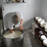 Los quesos gaditanos son fruto de una larga tradición y el buen hacer de los maestros queseros