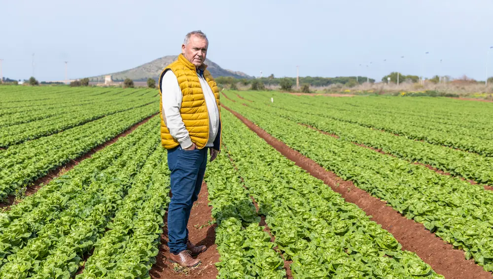 Agricultores de Murcia: Mariano Melillas 