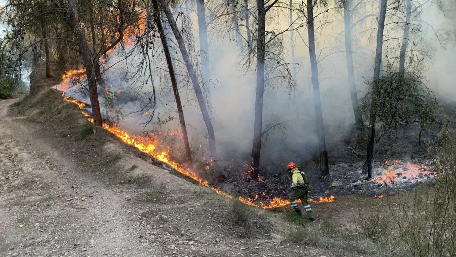 Extinguidos dos incendios en la zona de La Alberca (Murcia) y en la de La Paca (Lorca)