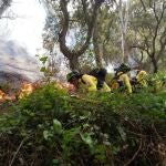 Incendios.- Estabilizado el incendio de Tarifa (Cádi y autorizado el regreso a sus hogares de los 70 desalojados