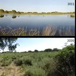 Estado en el que se encuentra una laguna de Doñana