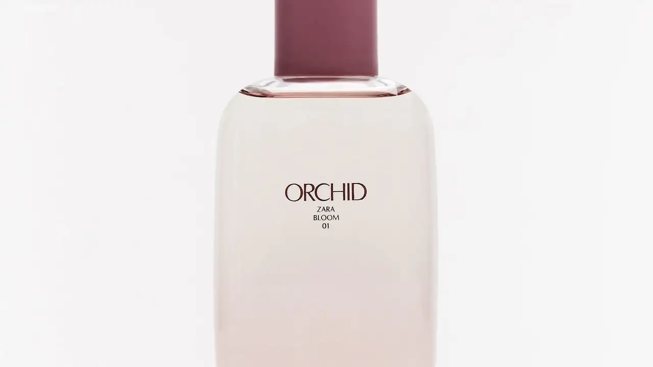 Orchid