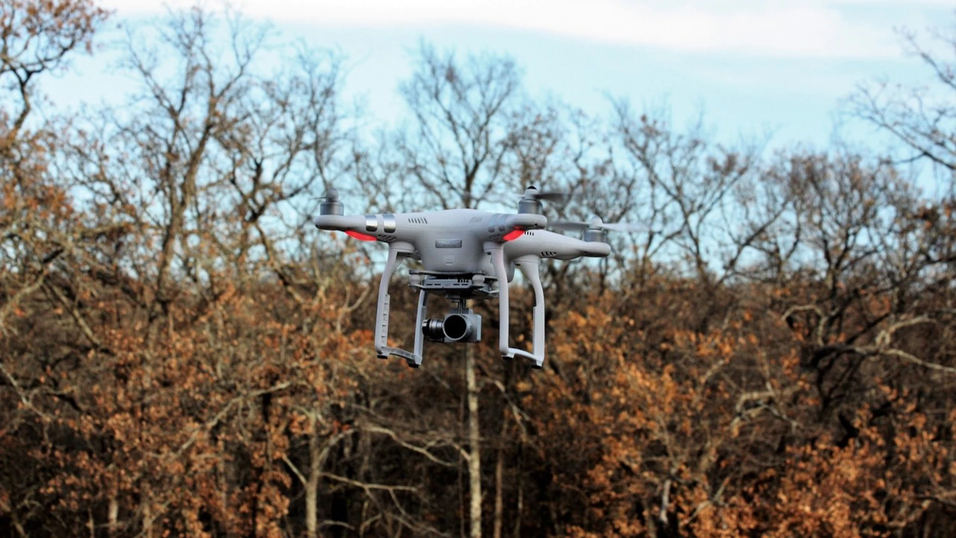 Un dron entrenado en un bosque puede volar en una ciudad gracias a las redes neuronales líquidas