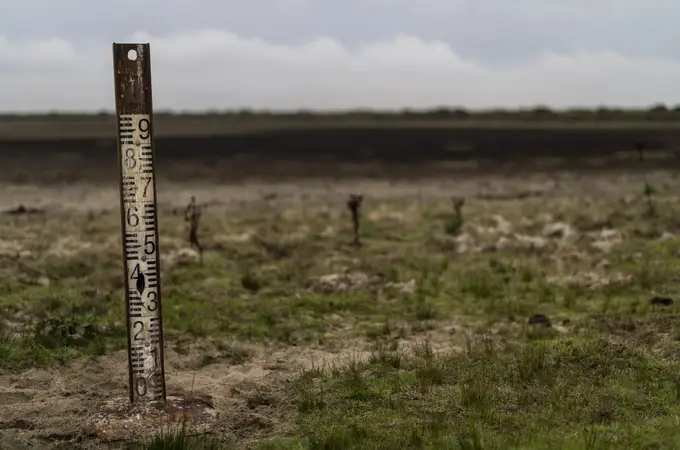 La falta de agua lleva Doñana al borde del colapso