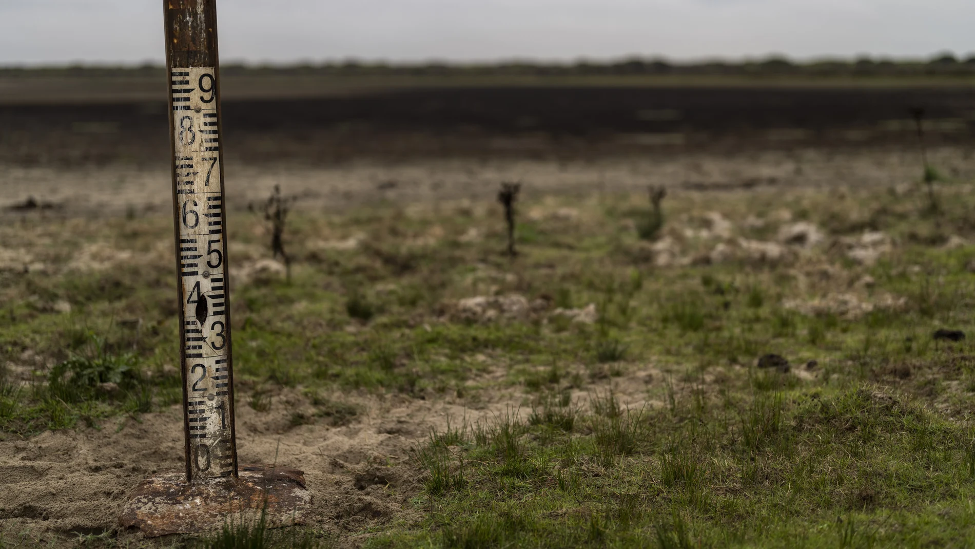 FILE - A water meter stands in a dry wetland in Donana natural park, southwest Spain, on Oct. 19, 2022. Lawmakers in Spainís southern Andalusia region are set Wednesday April 12, 2023 to vote in favor of rezoning lands near one of Europeís most prized wetlands as irrigable against the advice of ecologists and repeated warnings from European officials. 