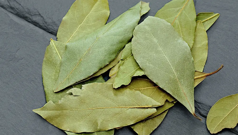 El del laurel es uno de los sabores más presentes en la gastronomía española.