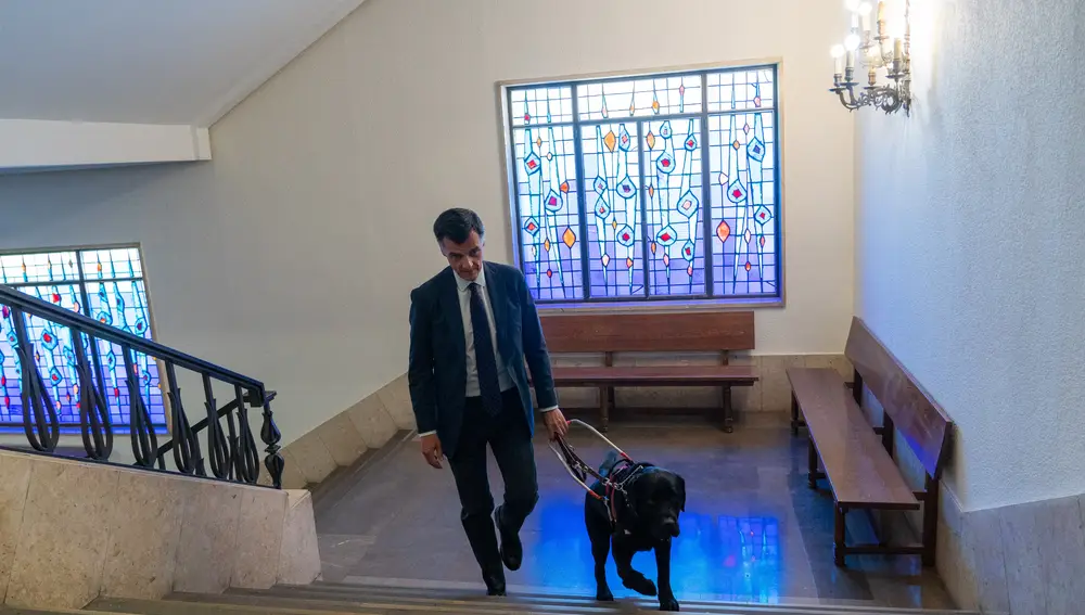 Primer juez de España con un perro guía