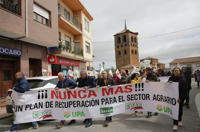 El campo reclama en Tábara (Zamora) medidas urgentes contra la “invasión de la fauna salvaje y de los paneles fotovoltaicos”