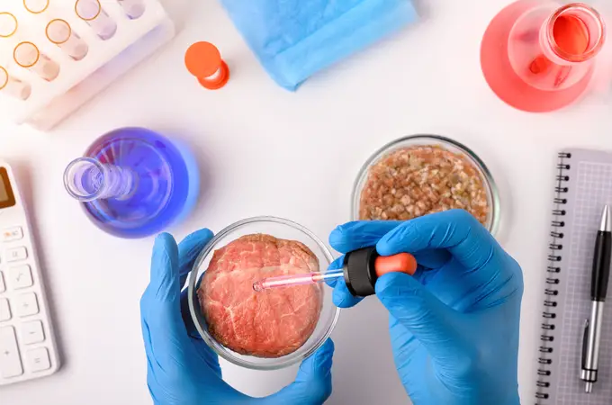 La ciencia acota el cultivo in vitro de carne animal 
