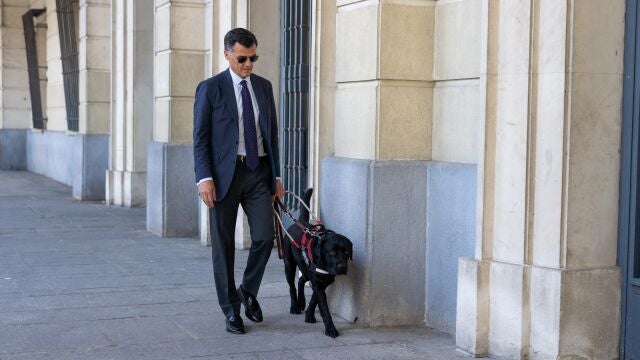 Sevilla.-El magistrado de la Audiencia Provincial Luis de Oro-Pulido, primer juez de España con un perro guía