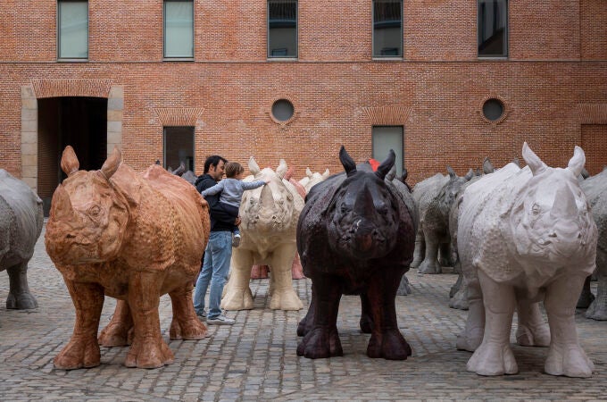  Exposicion Mundos. Goya y Fabelo en el Centro Cultural Conde Duque. Rinocerontes.
