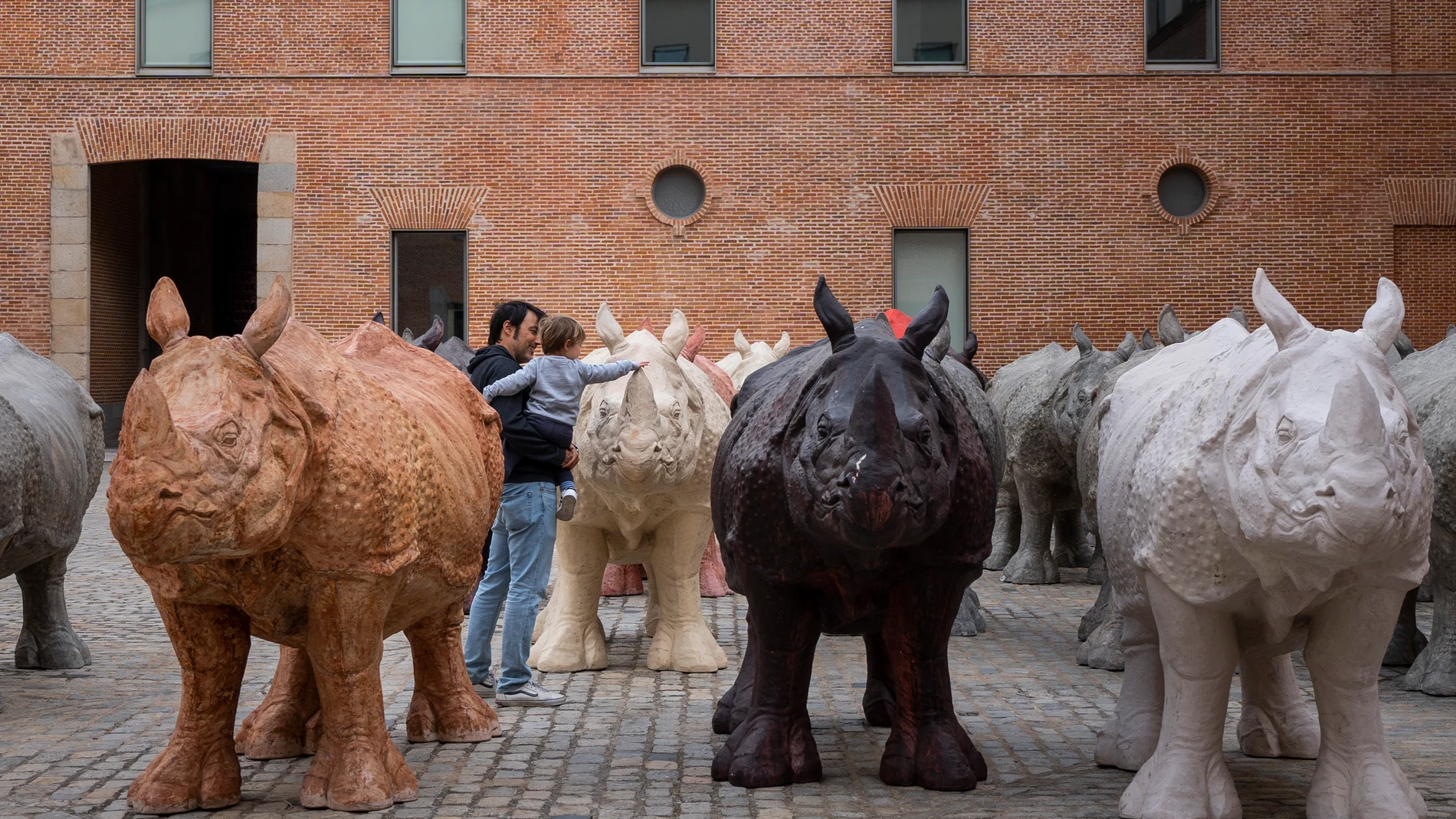  Exposicion Mundos. Goya y Fabelo en el Centro Cultural Conde Duque. Rinocerontes . David Jar