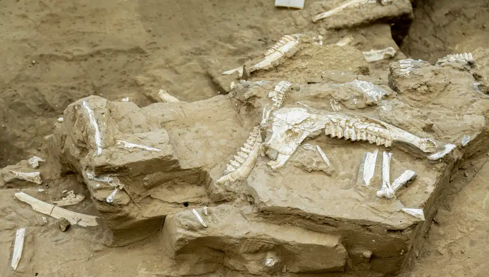 humanas en el sureste de la península