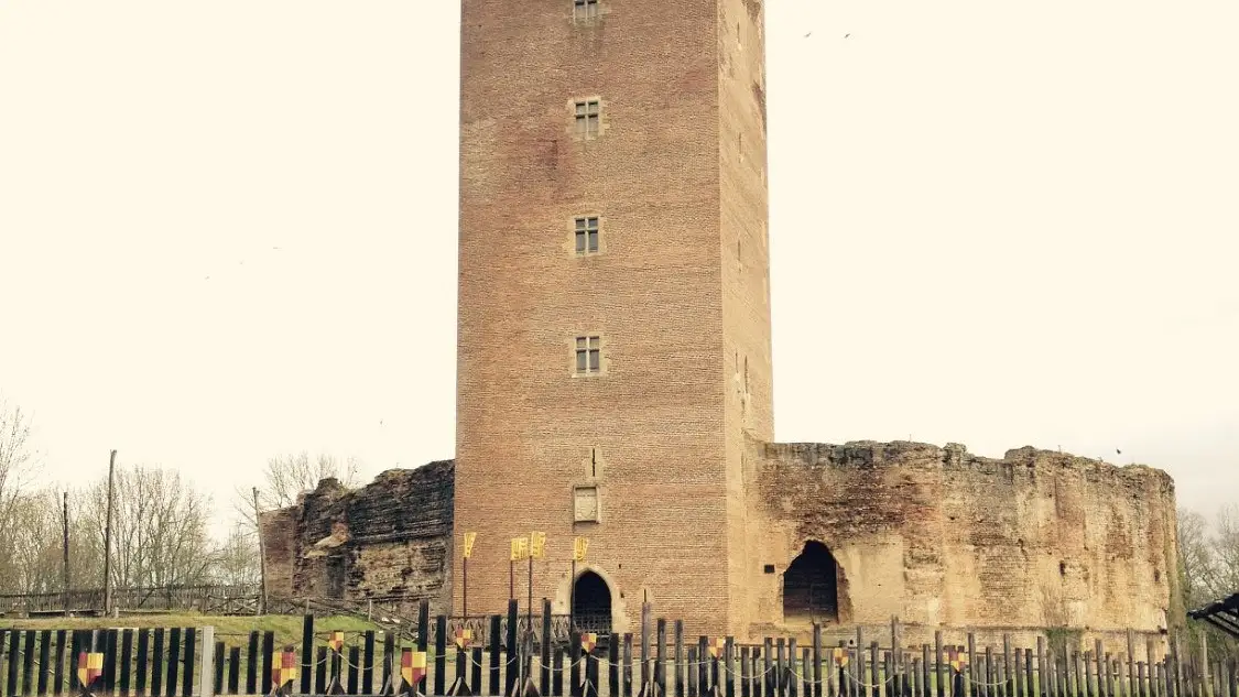 Castillo de Montaner (Francia)