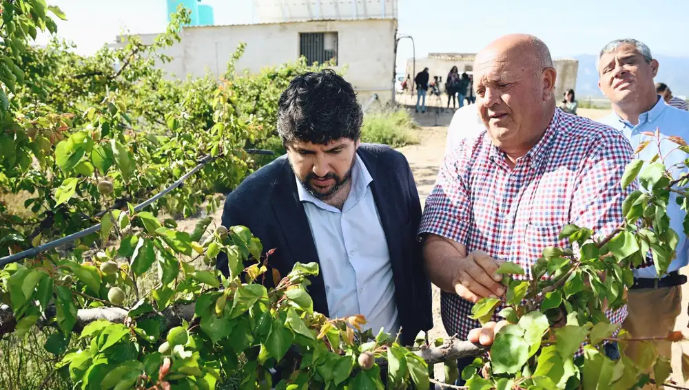 El presidente murciano, Fernando López Miras, durante su visita a una finca agrícola en Pliego