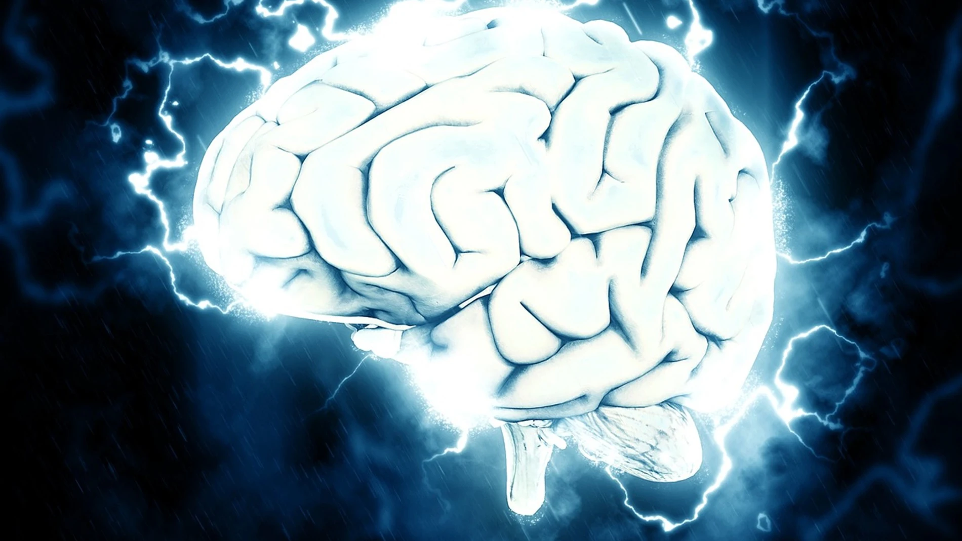 12 claves para disfrutar de un cerebro sano toda la vida