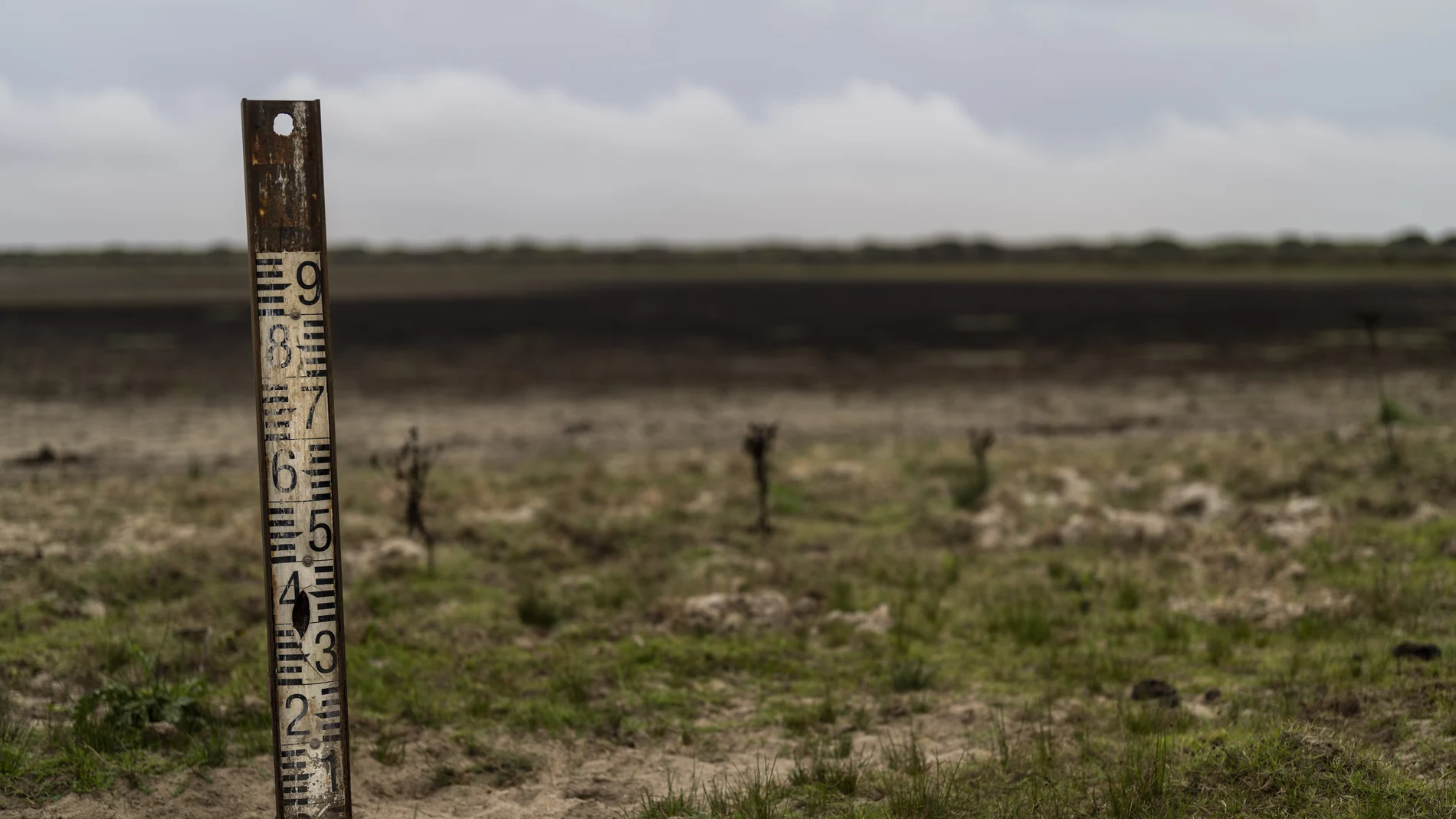 Matalascañas también supone un problema para el agua en Doñana