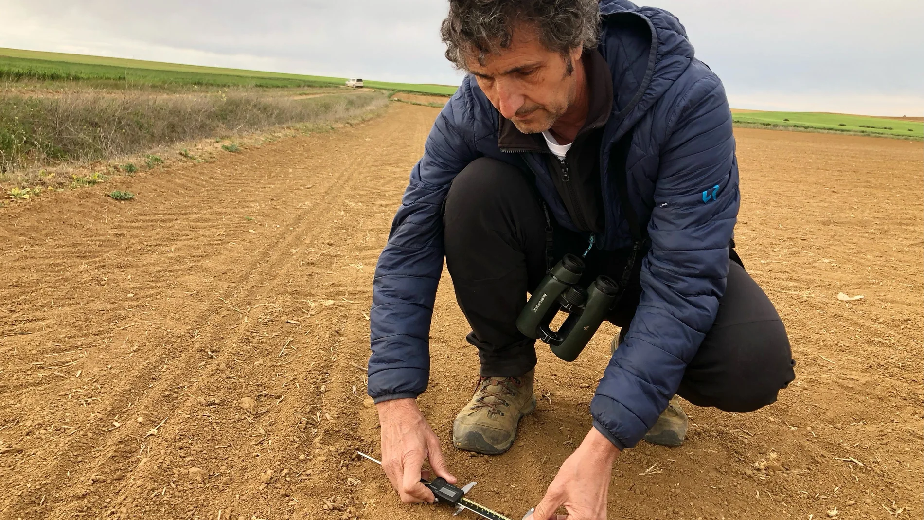 Fernando Jubete toma medidas biométricas de una huella de avutarda