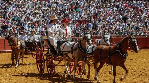XXXVII edición de la Exhibición de Enganches de Sevilla