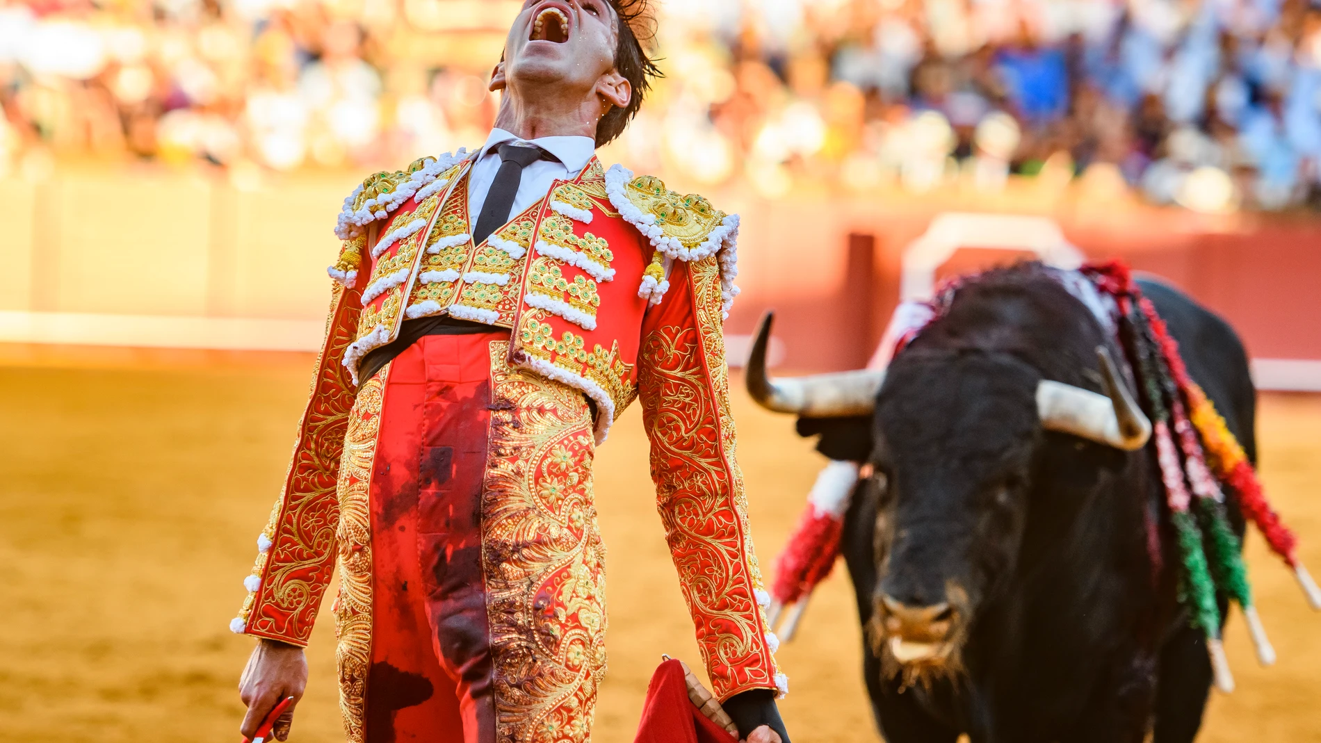 SEVILLA, 25/04/2023.- El diestro Alejandro Talavante en la lidia a su segundo toro, esta tarde en la Plaza de la Maestranza de Sevilla, durante el ciclo continuado da festejos de la Feria de Abril. EFE/Raúl Caro