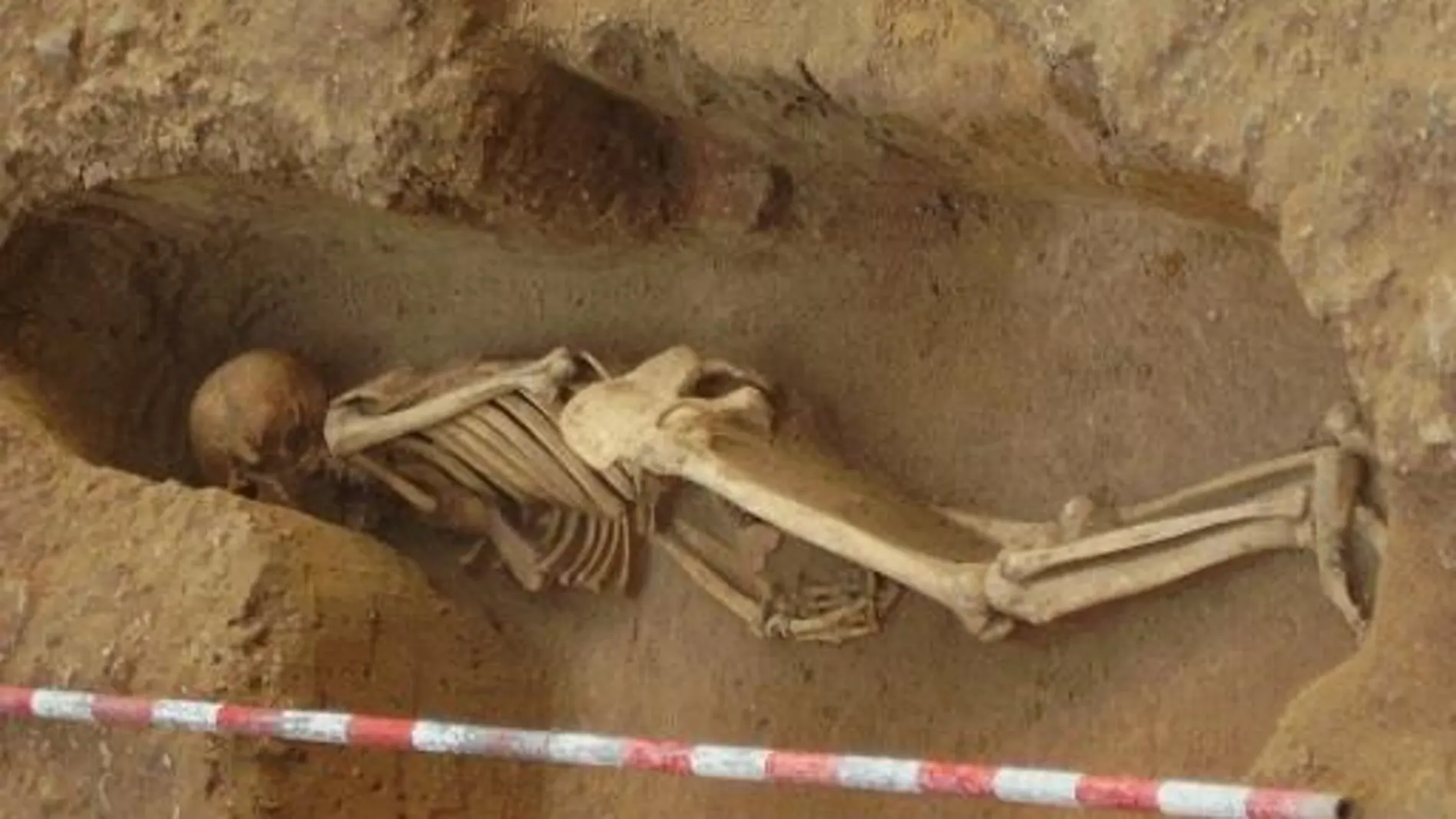 CA01. CÁDIZ, 25/04/2023.- Imagen de parte de los restos humanos hallados en distintas excavaciones de Cádiz, que ahora los científicos han confirmado a través de análisis de ADN que eran fenicios procedentes o descendientes de individuos de Francia. EFE/Unidad de Cultura Científica de la UCM - SOLO USO EDITORIAL/SOLO DISPONIBLE PARA ILUSTRAR LA NOTICIA QUE ACOMPAÑA (CRÉDITO OBLIGATORIO) - 