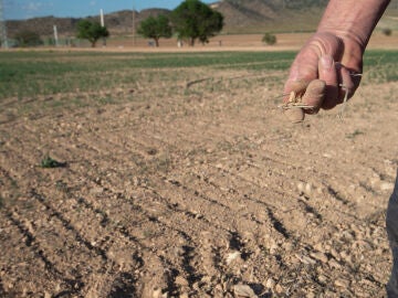 Bruselas estudiará los efectos de la sequía en España para decidir sobre las ayudas