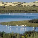 Parque Natural de Doñana 