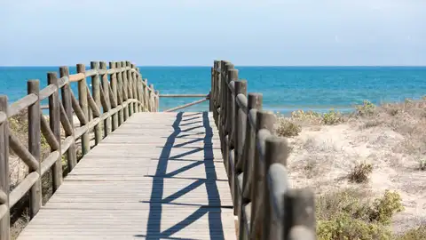 Imagen de una de las playas de Gandia