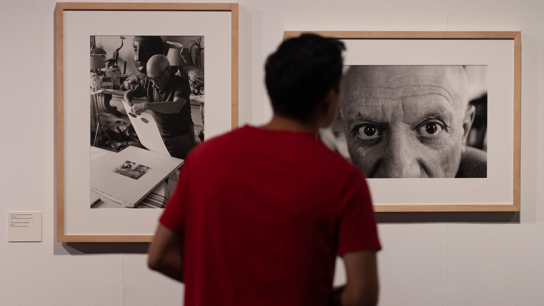 Exposición sobre Picasso en el teatro Fernando Fernán Gómez @Gonzalo Pérez Mata 
