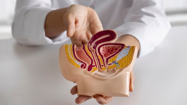 El tumor más frecuente en hombres: cómo detectar los síntomas del cáncer de próstata