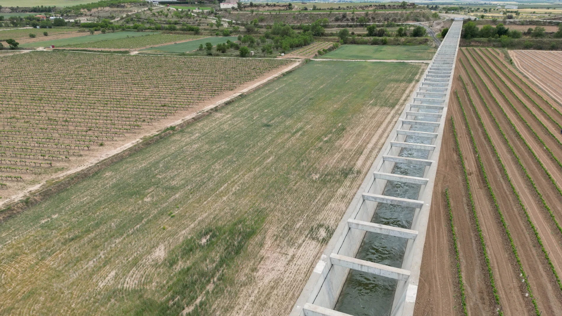 La Comunidad General de Regantes del Canal Segarra-Garrigues, en Lleida, ha decidido cerrar el suministro de agua desde hoy y hasta el martes, 2 de mayo, debido a "la situación excepcional de sequía que vive" Cataluña y para "salvar los árboles" frutales con un mínimo de subsistencia.