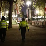 Man arrested outside Buckingham Palace