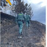 Agentes del SEPRONA de Asturias investigan sobre el terreno