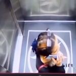 Una mujer muere al caer por el hueco del ascensor después de forzar la puerta equivocada