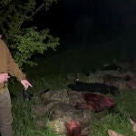 the chief of Russian mercenary group Wagner, Yevgeny Prigozhin -- shows Yevgeny Prigozhin addressing the Russian army's top brass standing in front of bodies he presented as fallen Wagner fighters at an undisclosed location. - The head of Russian paramilitary group Wagner on Friday lashed out at Russian army chiefs with an expletive-laden rant in a video showing dozens of dead bodies. 