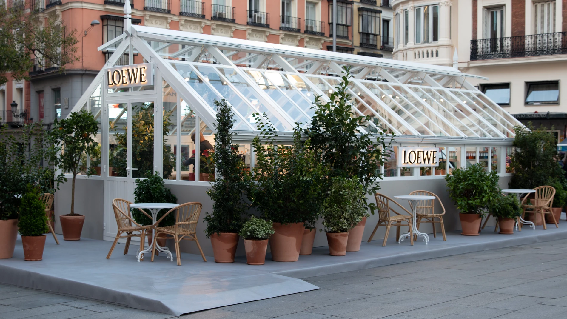 LOEWE Perfumes presenta LOEWE Greenhouse en el muelle de Barcelona 
