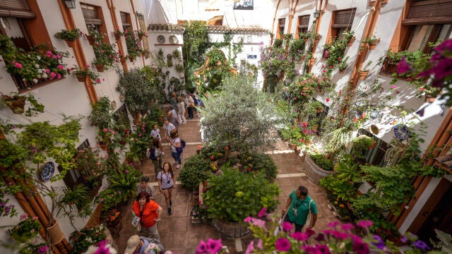 Fiesta de Los Patios en Córdoba