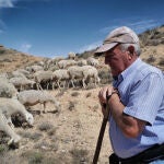 Ganaderos y agricultores piden soluciones contra la sequía en los campos de Aragón