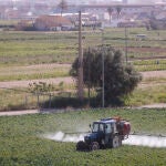 Un agricultor fumiga con su tractor un campo de hortalizas en el área metropolitana de Valencia