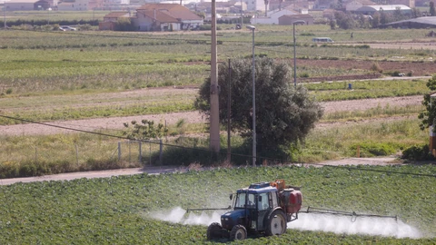 Un agricultor fumiga con su tractor un campo de hortalizas en el área metropolitana de Valencia