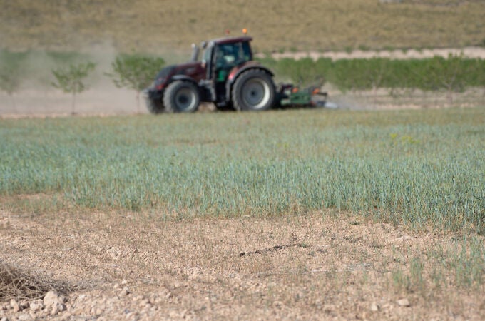 MURCIA.-Agua.- El Gobierno acuerda un incremento "extraordinario" de las subvenciones del seguro agrario por la sequía