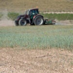 MURCIA.-Agua.- El Gobierno acuerda un incremento "extraordinario" de las subvenciones del seguro agrario por la sequía