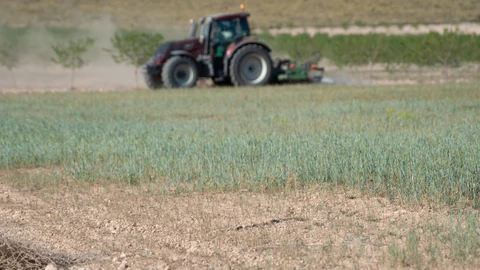 MURCIA.-Agua.- El Gobierno acuerda un incremento "extraordinario" de las subvenciones del seguro agrario por la sequía