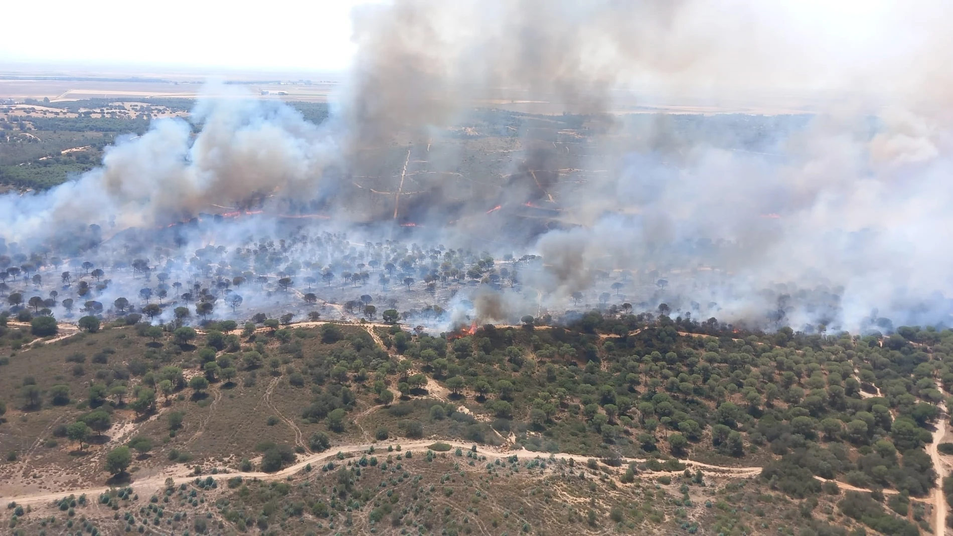 Paraje afectado por el fuego